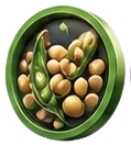 کنجاله سویا
